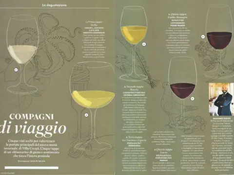 Vino persistente - Guida alla degustazione e al finale perfetto