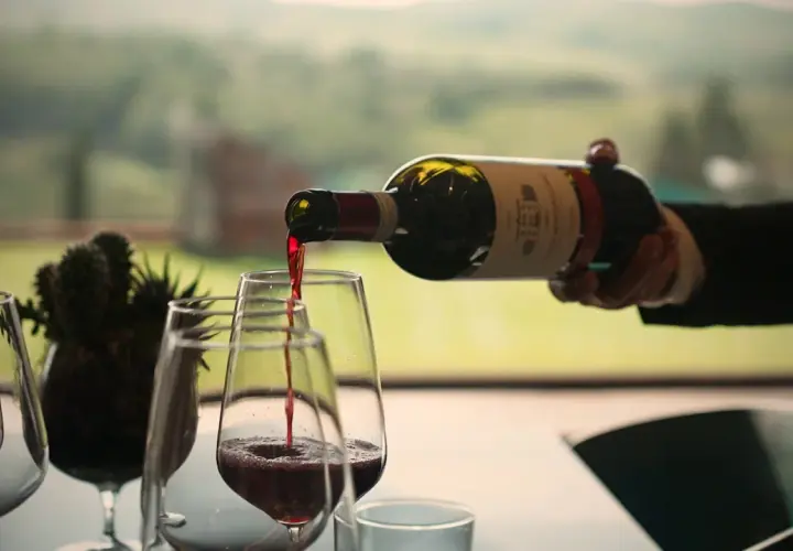 Versando vino rosso in un calice, un assaggio dei diversi tipi di vitigni con un paesaggio verde sullo sfondo.