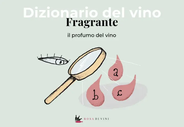 Dizionario del vino: "Fragrante" il profumo del vino. Un occhio e una lente d'ingrandimento analizzano gocce con lettere a, b, c.