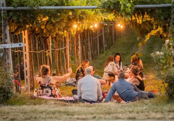 Un gruppo di amici gode di un magico aperitivo in vigna in Veneto, tra filari illuminati da lucine e il profumo dell'estate.