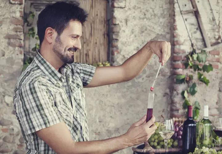 Un uomo controlla l'acidità volatile del vino con un densimetro, circondato da uva e bottiglie.