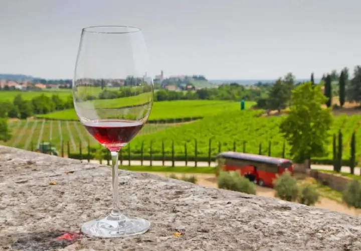 Un calice di vino rosso, con il suo intenso colore che evoca il **Recioto significato**, si staglia su un paesaggio di vigneti verdi e dolci colline.