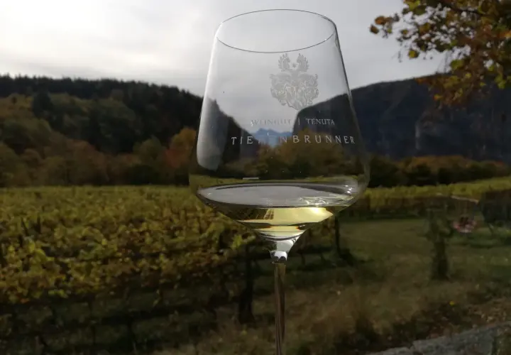 Calice di vino bianco con stemma, sullo sfondo vigneti autunnali e montagne. Un brindisi degno di un feldmaresciallo.