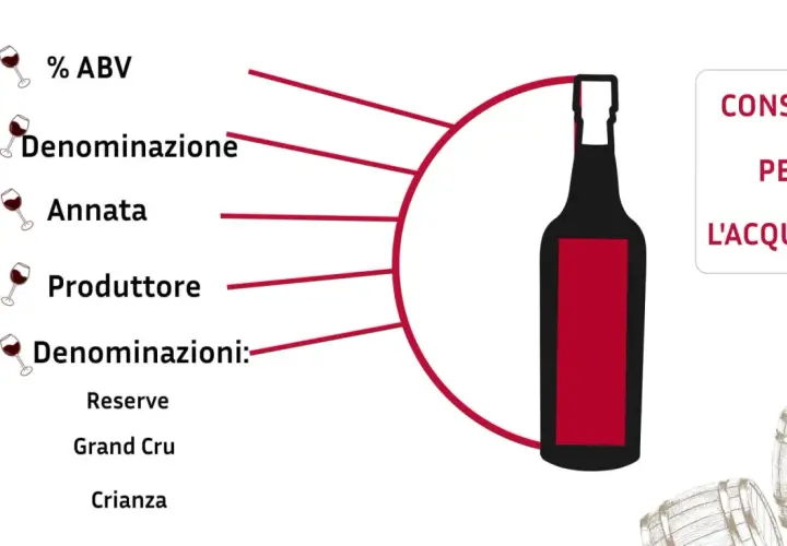Scheda informativa per l'acquisto di vino: ABV, denominazione, annata, produttore e denominazioni come Reserve, Grand Cru, Crianza. Le caratteristiche del Cabernet Franc sono fondamentali per la scelta.