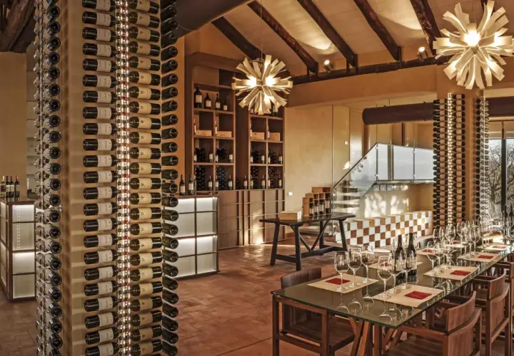 Cantina moderna con scaffali pieni di bottiglie di vino, un tavolo da degustazione pronto e un paesaggio **reverdito** fuori dalla finestra.