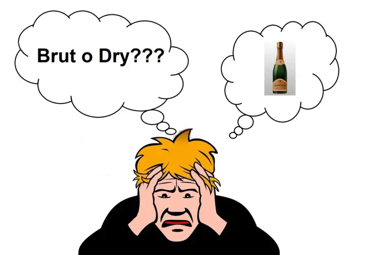 Persona confusa tra "Brut" e "Dry" per lo champagne, cercando il significato giusto.