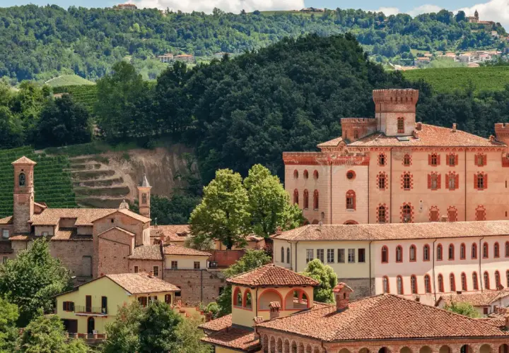 Un borgo con castello e vigneti, ideale per un tour vino Piemonte.