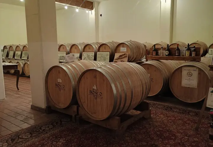 Le cantine Bosco Nestore, un'atmosfera d'altri tempi con botti di legno e bottiglie di vino.