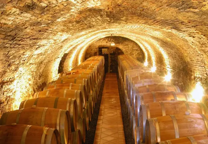 Cantine sotterranee illuminate, piene di botti di legno. Un'esperienza indimenticabile per la tua visita cantine Montalcino.