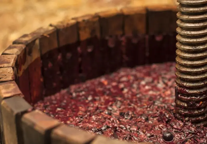 Il mosto, succo d'uva appena pigiato, riempie un torchio di legno, pronto per la fermentazione.