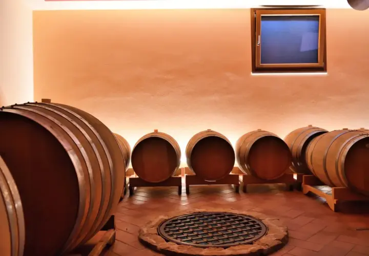 Botti di legno in una cantina del Friuli Venezia Giulia, pronte ad accogliere il vino.