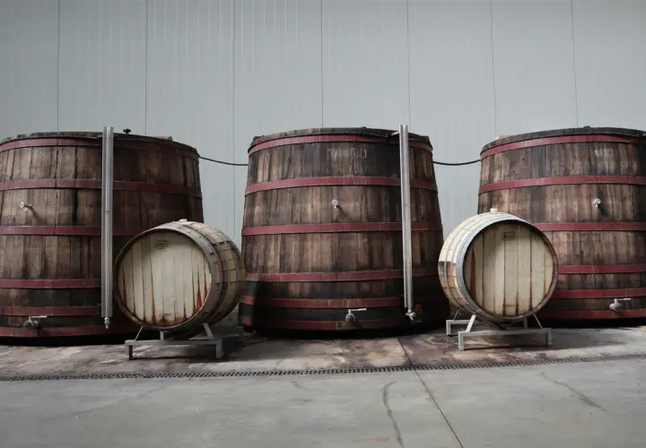 Grandi botti di legno e barili più piccoli, pronti per l'affinamento del vino. Un'atmosfera di tradizione e pazienza.