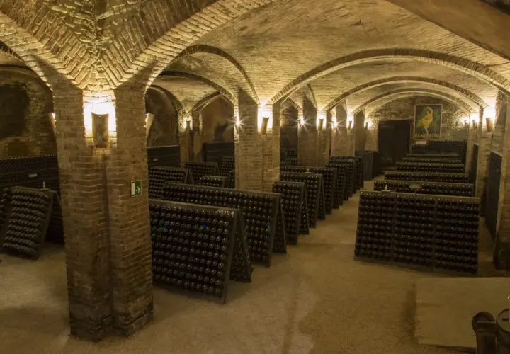 Le cattedrali sotterranee di Canelli, con volte in mattoni e file infinite di bottiglie, creano un'atmosfera suggestiva.