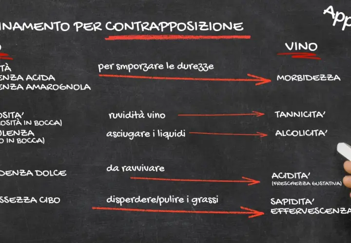 Appunti su food pairing: come abbinare cibo e vino per contrasto, bilanciando sapidità, acidità, untuosità e dolcezza con morbidezza, tannini, alcolicità e freschezza.