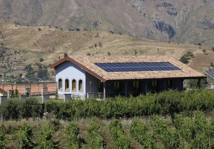 A light blue building with solar panels on its tiled roof sits behind a vineyard, with a dry, hilly landscape in the background.