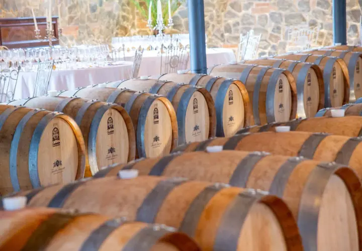 File di botti di legno in una cantina, pronte per l'affinamento. Un'esperienza unica di cantine con pernottamento.