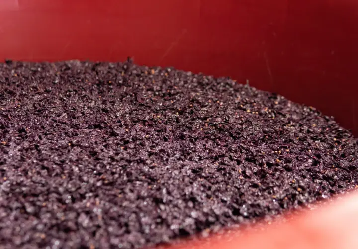 La feccia del vino, residuo della fermentazione, riposa in un contenitore rosso.