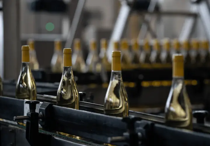 Bottiglie di vino bianco con tappi gialli su un nastro trasportatore, pronte per imbottigliare vino luna.