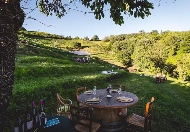 Un incantevole picnic in vigna in Lombardia, con tavoli apparecchiati tra i filari e un paesaggio collinare rigoglioso.