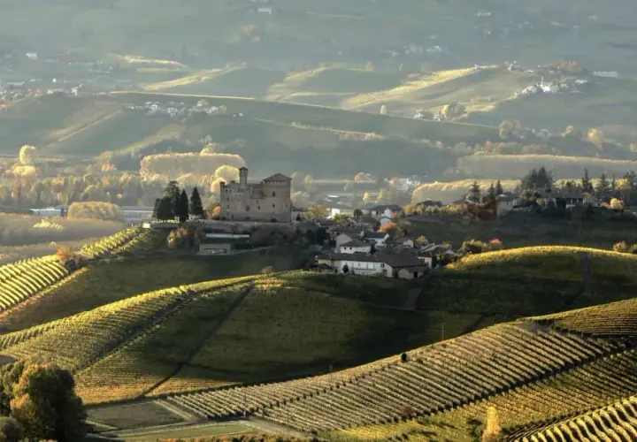 Colline vitate al tramonto, con un castello che domina la **cascina Pugnane**. L'autunno tinge di giallo e verde i vigneti terrazzati.