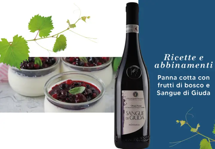 Panna cotta con frutti di bosco e un bicchiere di Sangue di Giuda, perfetti abbinamenti per un dolce.