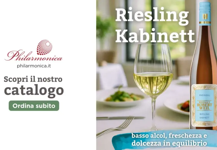 Riesling Kabinett: un vino fresco e leggero, perfetto per ogni occasione. Scopri il significato di questa etichetta e ordina subito il tuo.