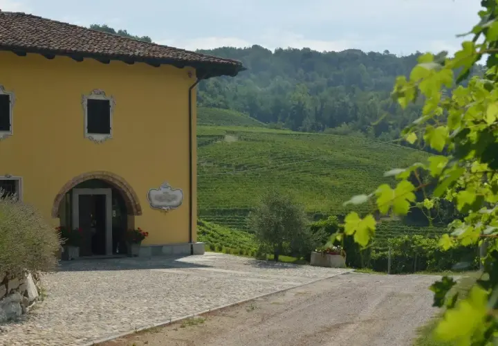 Tenuta Arnulfo, con la sua casa gialla e i vigneti a terrazze sulla costa di Bussia, incanta con la sua bellezza.
