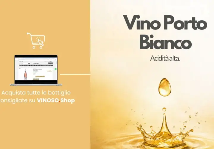 Vino Porto Bianco con alta acidità. Acquista bottiglie consigliate su VINOSO.Shop.