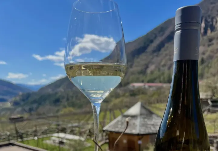 Glass of white wine and bottle with a mountain landscape and blue sky in the background.