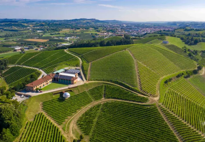 Tenuta Monsordo Bernardina: vigneti a perdita d'occhio sulle colline piemontesi, con un complesso rurale e una moderna struttura in vetro.