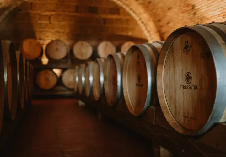 Cantina con botti di legno invecchiate, pronte per il vino. Il tempo passa, ma il vino scade solo se non curato.