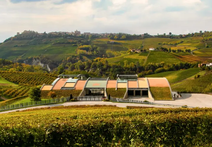 Cantina moderna immersa tra le colline vitate delle Langhe, un paesaggio che evoca la qualità dei vini di Domenico Clerico.