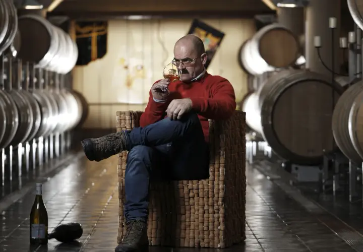 Uomo assapora vino Franz Haas in cantina tra botti.