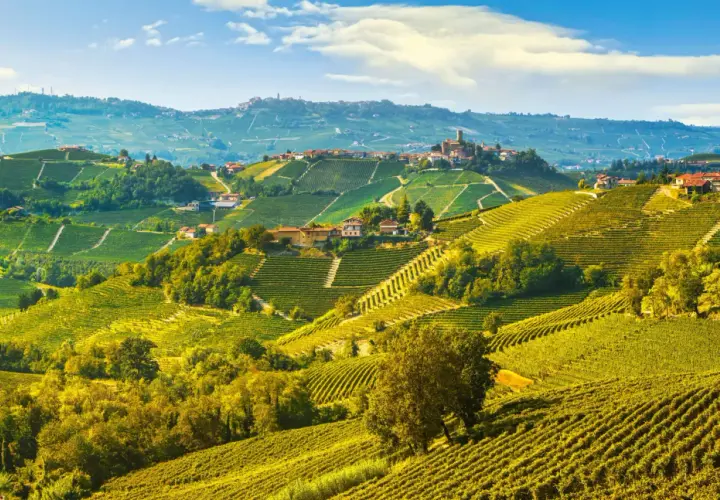 Colline ondulate ricoperte di vigneti dorati, con borghi arroccati in lontananza. Un invito a visitare Langhe e scoprire la sua bellezza.