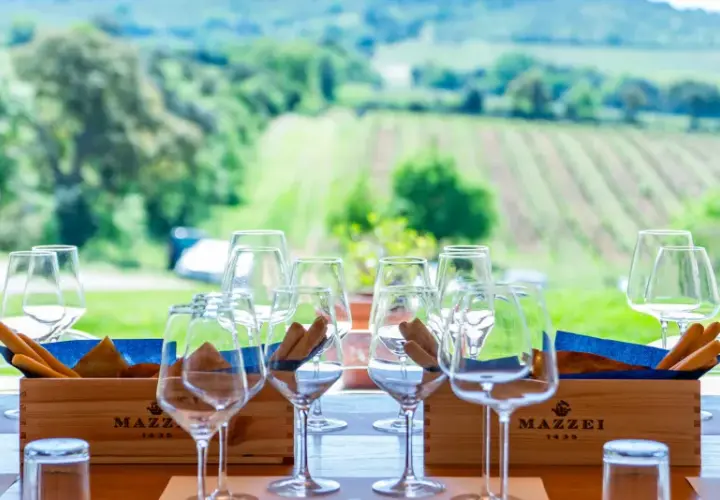 Bicchieri pronti per una degustazione di vini in un'azienda agricola con vista sui vigneti. Un'esperienza perfetta per scoprire dove fare degustazione vini.