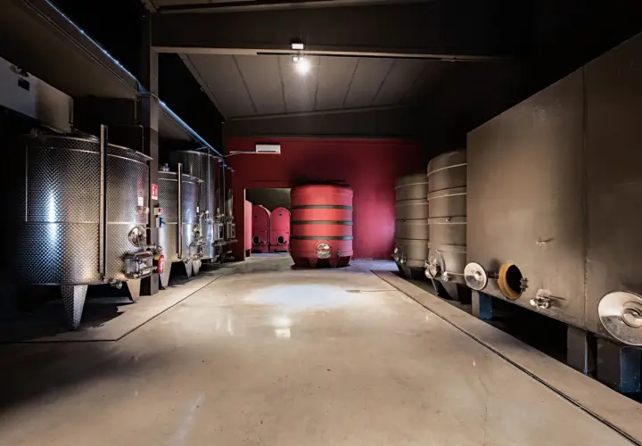 Cantine moderne con serbatoi in acciaio inox e botti, un ambiente pulito e funzionale per la produzione di vino, forse in un rinomato garetto.