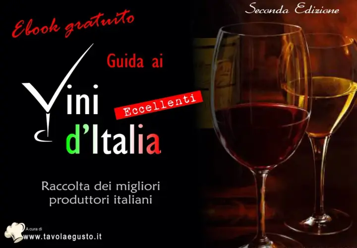 Guida ai vini d'Italia, ebook gratuito con eccellenti produttori. Scopri il vino IGT.