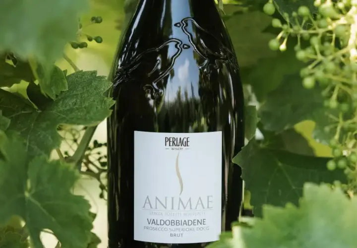 Bottiglia di Valdobbiadene Prosecco DOCG Brut "Animæ" tra le foglie, un esempio di vino biologico che rispetta il disciplinare.