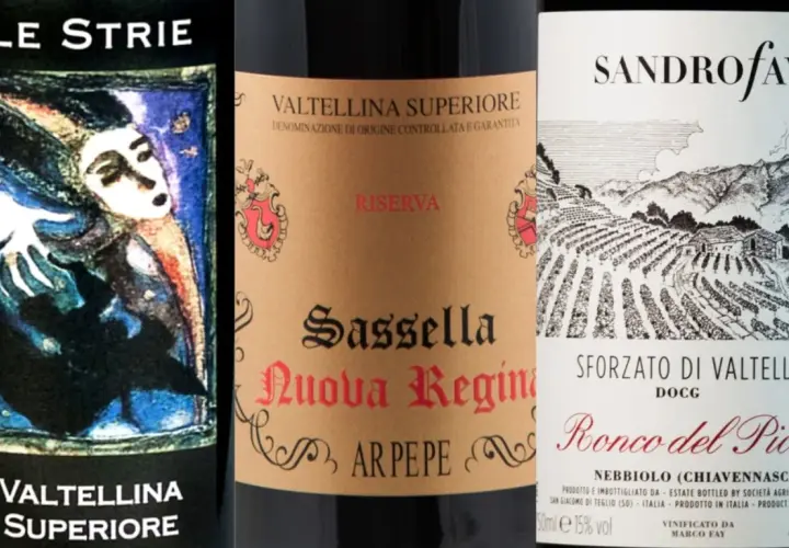 Tre bottiglie di vino per una degustazione vini Valtellina: "Le Strie", "Sassella Nuova Regina" e "Sforzato di Valtellina Ronco del Picchio".