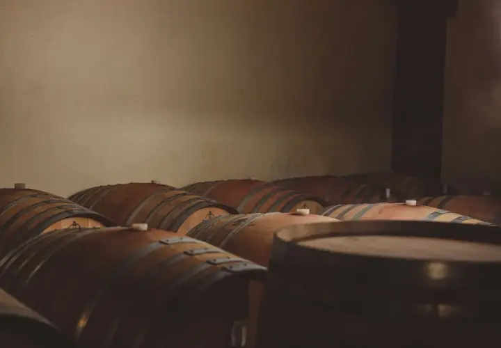 Cantina buia con numerosi tonneaux di rovere in attesa di maturare il vino.