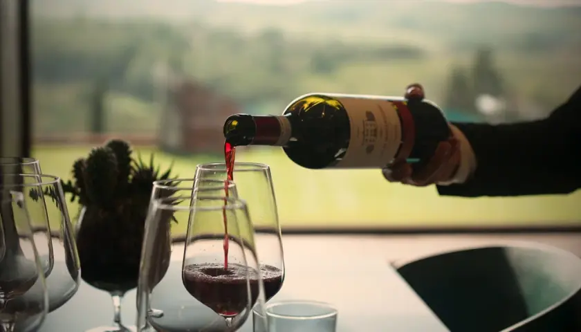 Versando vino rosso in un calice, un assaggio dei diversi tipi di vitigni con un paesaggio verde sullo sfondo.