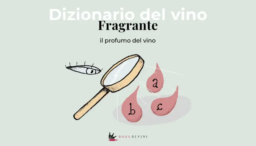 Dizionario del vino: "Fragrante" il profumo del vino. Un occhio e una lente d'ingrandimento analizzano gocce con lettere a, b, c.