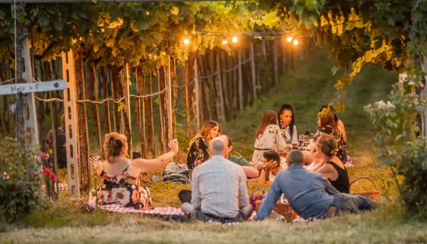 Un gruppo di amici gode di un magico aperitivo in vigna in Veneto, tra filari illuminati da lucine e il profumo dell'estate.