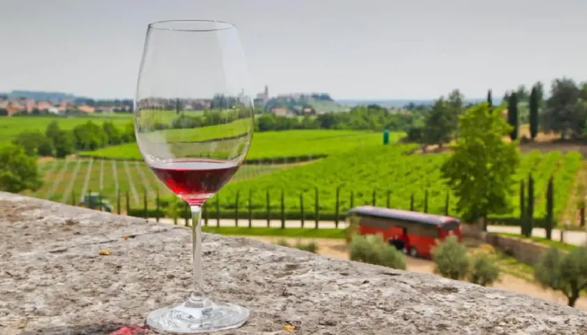 Un calice di vino rosso, con il suo intenso colore che evoca il **Recioto significato**, si staglia su un paesaggio di vigneti verdi e dolci colline.