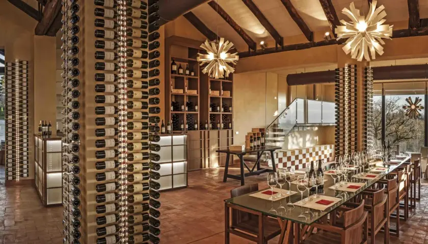Cantina moderna con scaffali pieni di bottiglie di vino, un tavolo da degustazione pronto e un paesaggio **reverdito** fuori dalla finestra.