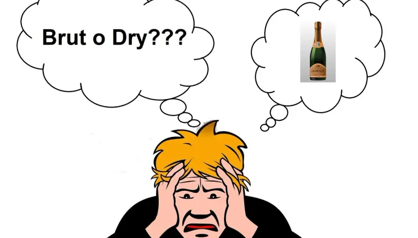 Persona confusa tra "Brut" e "Dry" per lo champagne, cercando il significato giusto.