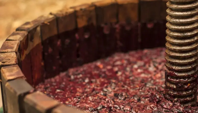 Il mosto, succo d'uva appena pigiato, riempie un torchio di legno, pronto per la fermentazione.