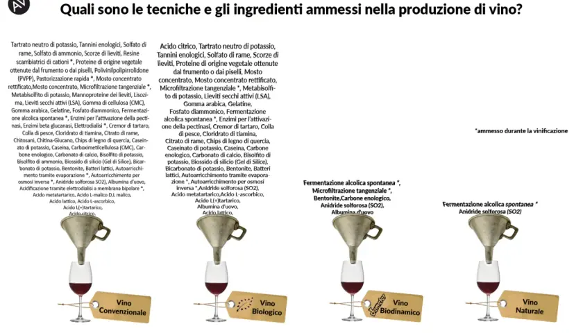 Vino biologico e biodinamico: ingredienti e tecniche. Immagine mostra diversi tipi di vino con etichette che indicano "Convenzionale", "Biologico", "Biodinamico" e "Naturale".