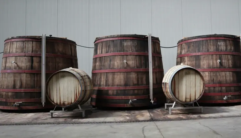 Grandi botti di legno e barili più piccoli, pronti per l'affinamento del vino. Un'atmosfera di tradizione e pazienza.
