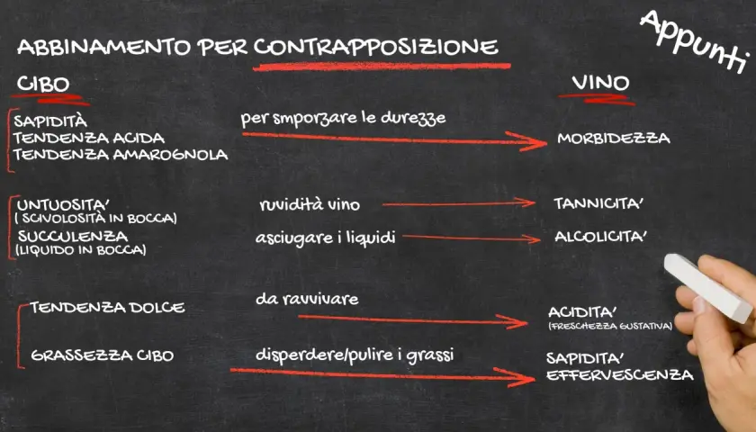 Appunti su food pairing: come abbinare cibo e vino per contrasto, bilanciando sapidità, acidità, untuosità e dolcezza con morbidezza, tannini, alcolicità e freschezza.